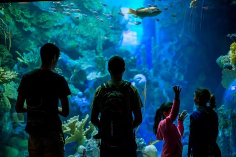 Miami: Frost Museum of Science and Planetarium Entry Ticket - Final Thoughts