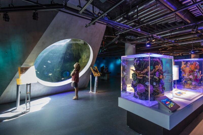 miami-frost-museum-of-science-and-planetarium-entry-ticket