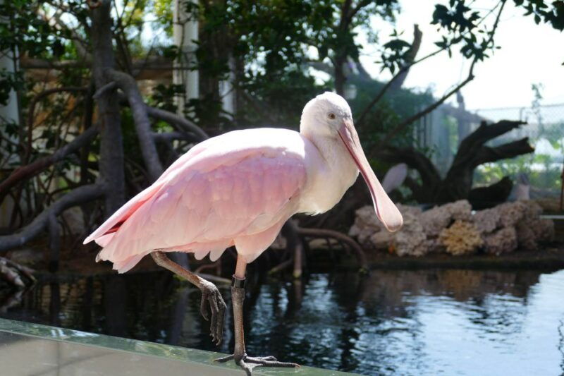 miami-frost-museum-of-science-and-planetarium-entry-ticket