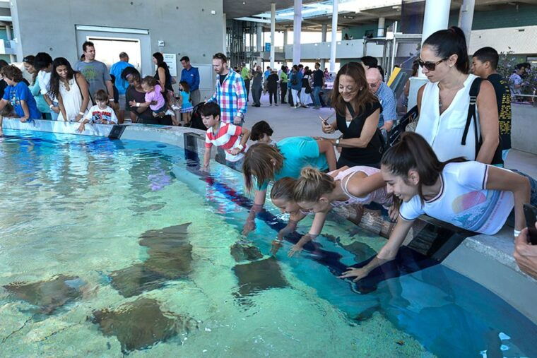 miami-frost-museum-of-science-and-planetarium-entry-ticket