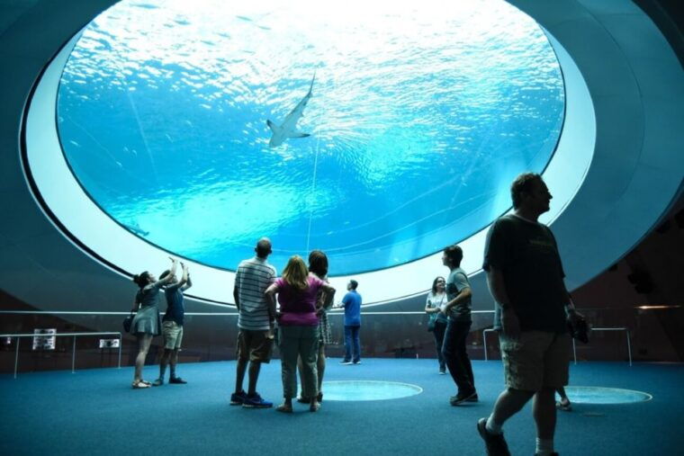 miami-frost-museum-of-science-and-planetarium-entry-ticket
