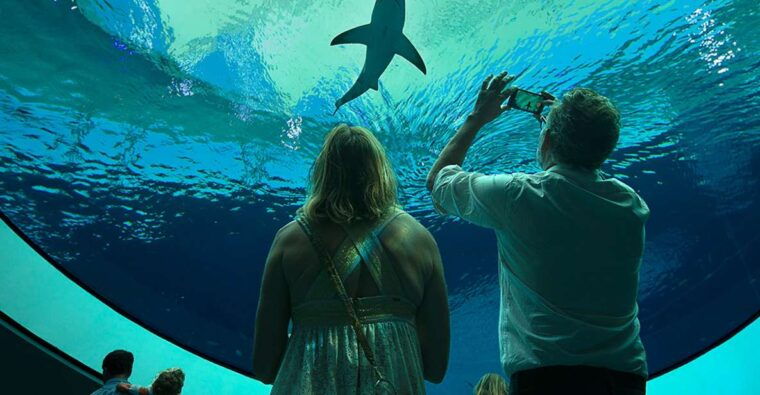 miami-frost-museum-of-science-and-planetarium-entry-ticket
