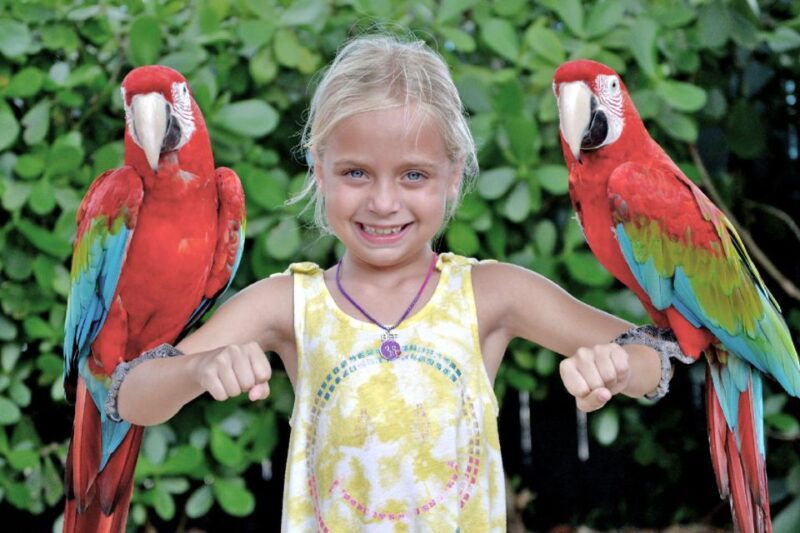 miami-go-city-all-inclusive-pass-with-30-attractions