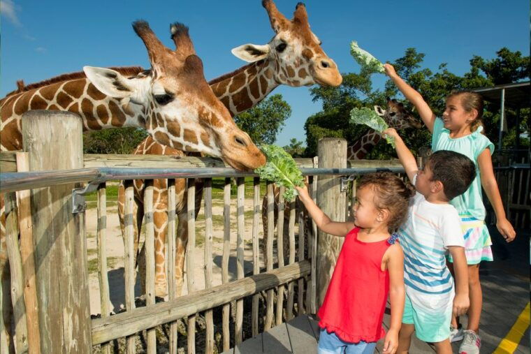 miami-go-city-all-inclusive-pass-with-30-attractions