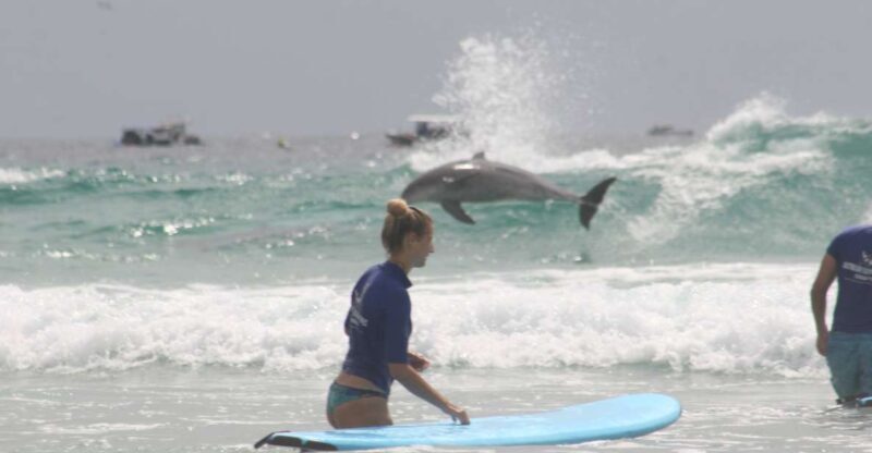 Miami: Group Surf Lesson - Value for Money and Practical Tips