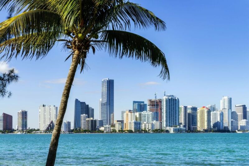 miami-guided-city-tour-and-boat-ride