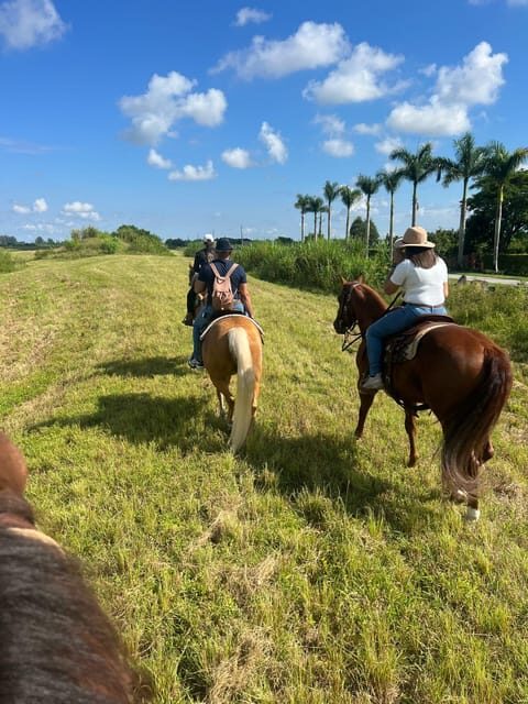 Miami: Guided Horseback Riding Tour - Who Should Book This Tour?