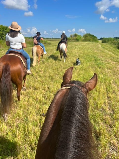 Miami: Guided Horseback Riding Tour - The Sum Up