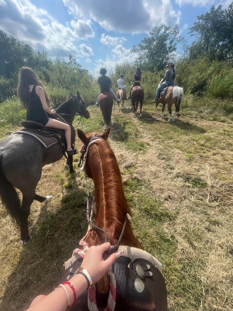 Miami: Guided Horseback Riding Tour - FAQ