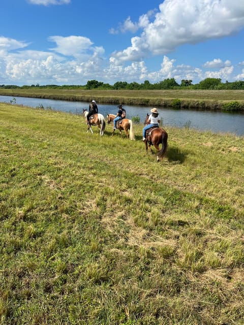 miami-guided-horseback-riding-tour