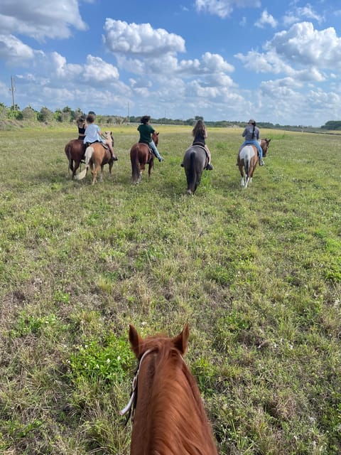 miami-guided-horseback-riding-tour