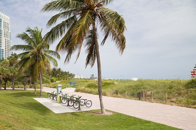 miami-highlights-private-bike-tour-with-a-guide-private-tour