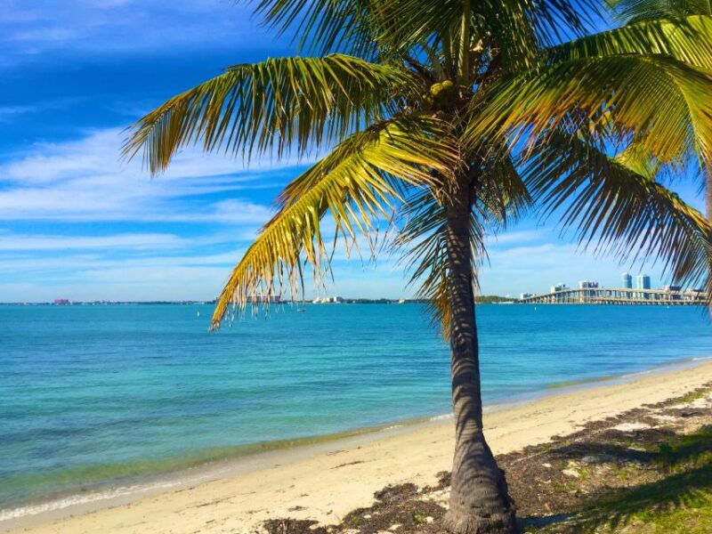 miami-hobie-cat-sailing