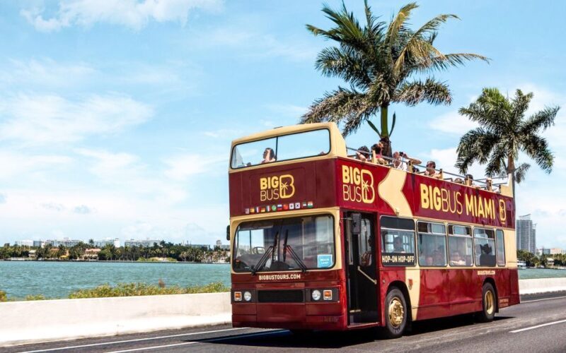 Miami: Hop-on Hop-off Sightseeing Tour with Optional Cruise - A Deep Dive Into Each Stop