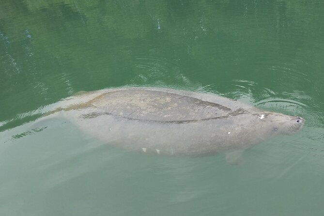 miami-kayak-and-paddleboard-rentals-in-virginia-key