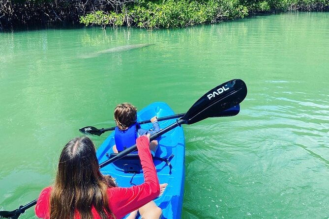 miami-kayak-and-paddleboard-rentals-in-virginia-key