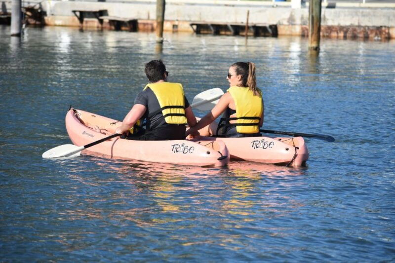 miami-kayak-or-paddleboard-rental