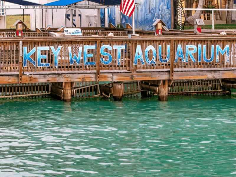miami-key-west-day-trip-and-miami-boat-tour-combo