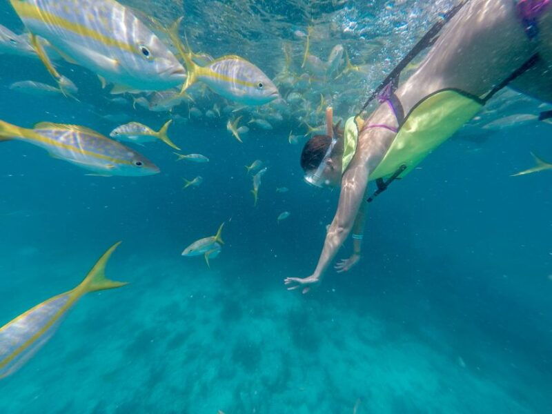 miami-key-west-tour-with-snorkeling-kayaking