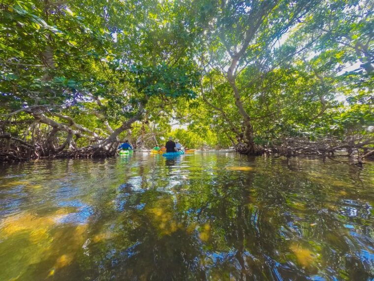 miami-key-west-tour-with-snorkeling-kayaking