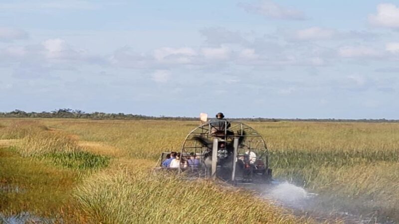 Miami: Original Everglades Airboat Tour & Alligator Exhibit - Highlights and Authentic Experiences