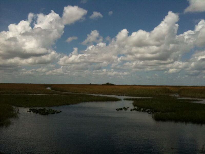 Miami: Original Everglades Airboat Tour & Alligator Exhibit - Practical Considerations