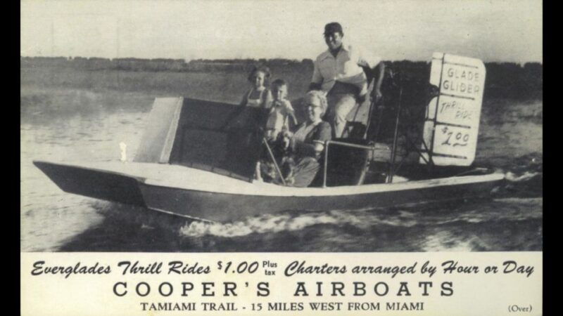 miami-original-everglades-airboat-tour-alligator-exhibit