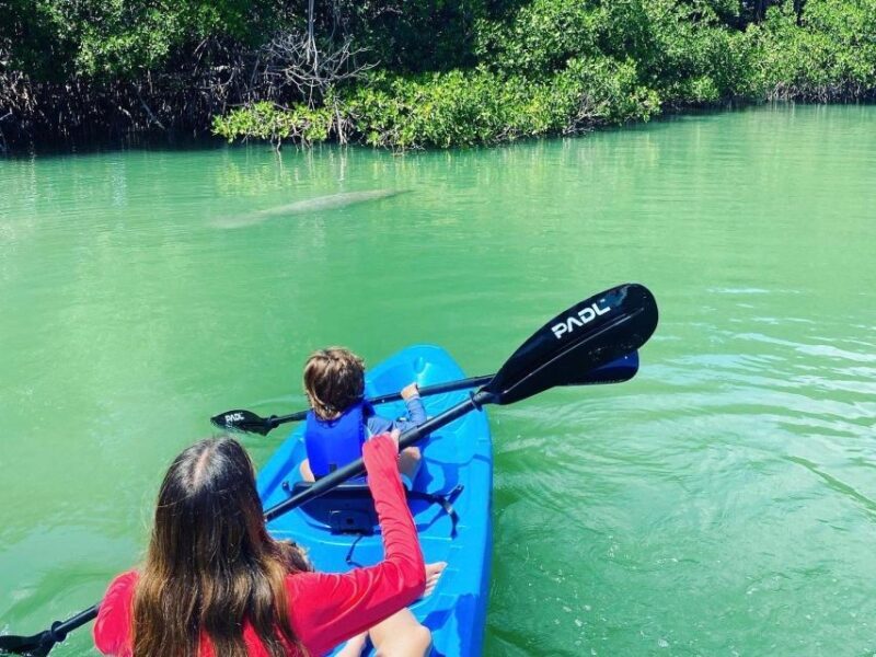 Miami: Paddle Board or Kayak Rental in Virginia Key - How to Make the Most of Your Visit