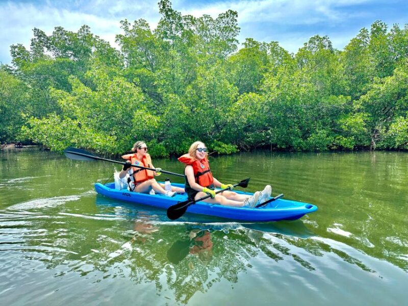 Miami: Paddle Board or Kayak Rental in Virginia Key - Pricing & Value