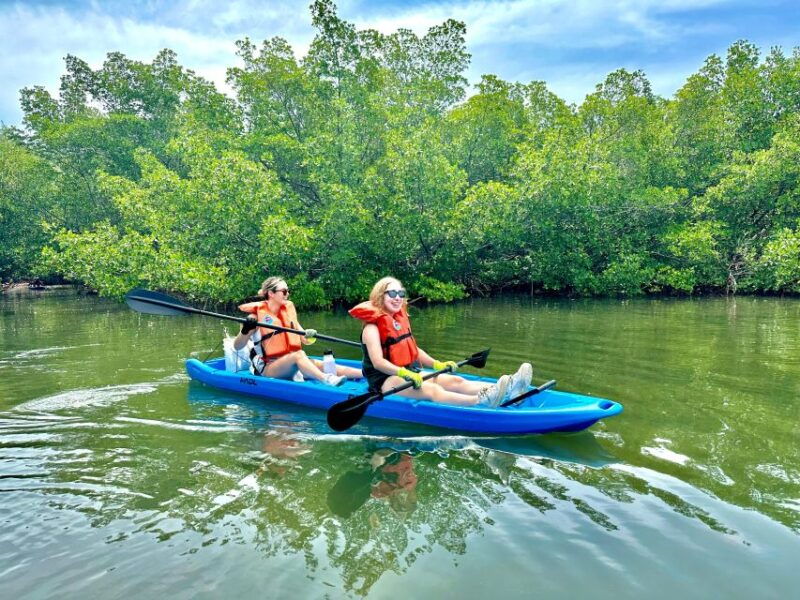 miami-paddle-board-or-kayak-rental-in-virginia-key