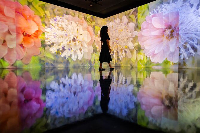 miami-select-pass-bus-tour-celebrity-homes-cruise-artechouse