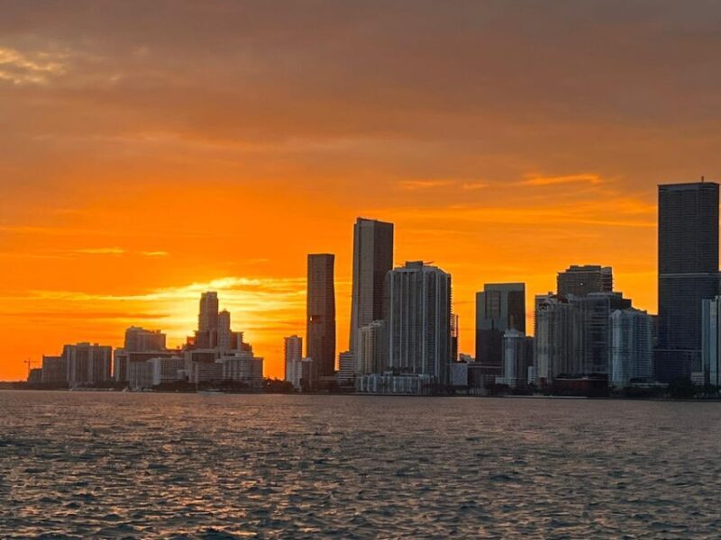 Miami: Skyline Cruise of the Magic City & Millionaire Houses - An Overview of the Experience