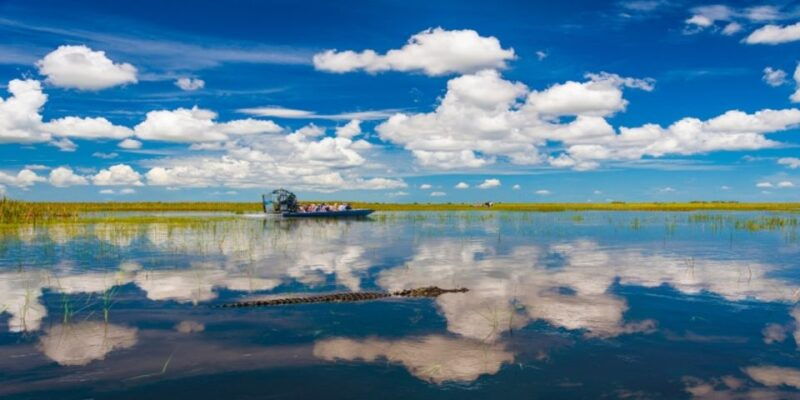 miami-small-group-everglades-express-tour-with-airboat-ride