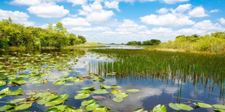 miami-small-group-everglades-express-tour-with-airboat-ride