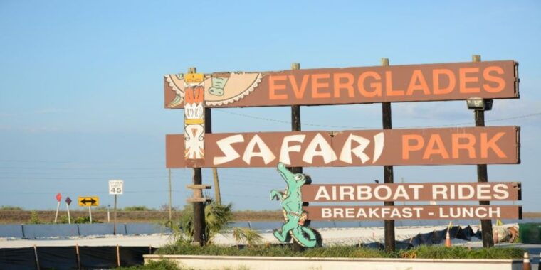 miami-small-group-everglades-express-tour-with-airboat-ride