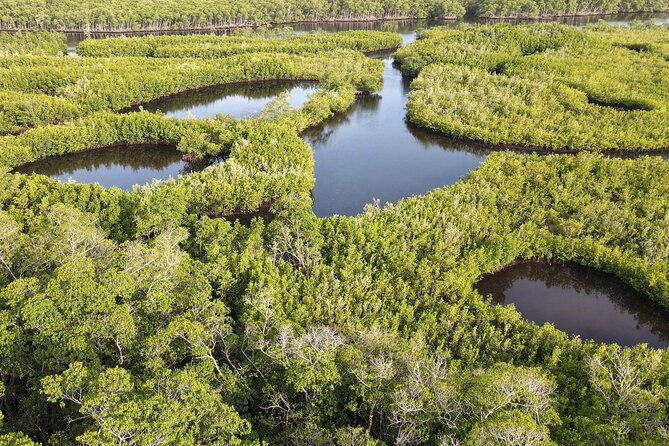 miami-small-group-tour-with-boat-cruise-little-havana-wynwood