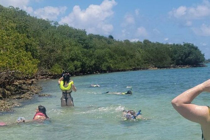 miami-snorkeling-adventure-in-miami-for-beginners