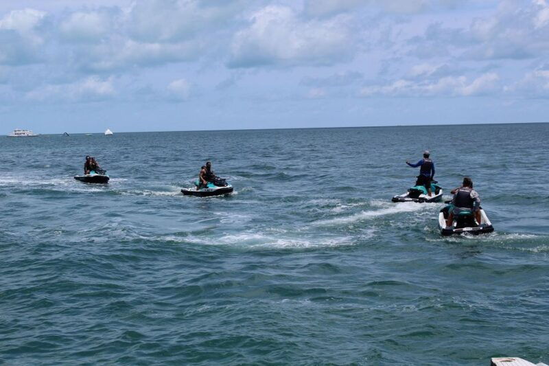 miami-to-key-west-shuttle-dolphin-snorkeling-more