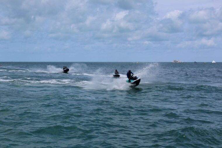 miami-to-key-west-shuttle-dolphin-snorkeling-more