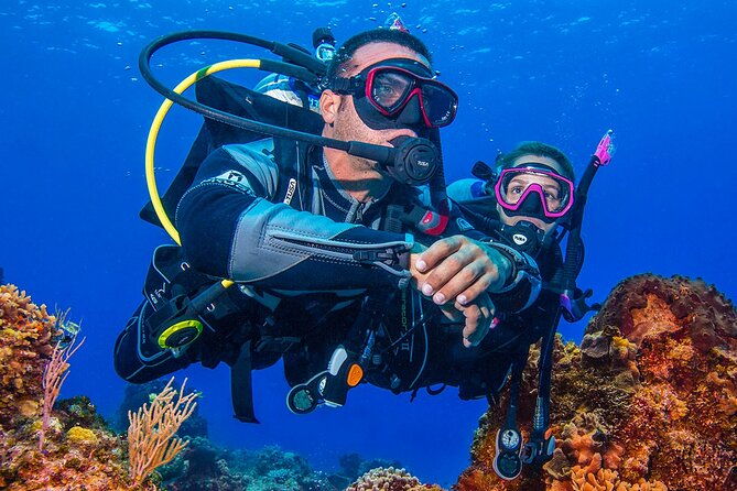 miami-two-tank-dive-trip-2