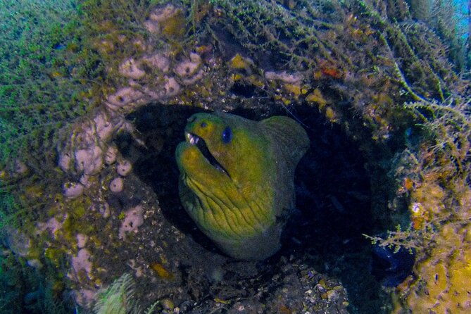 miami-two-tank-dive-trip