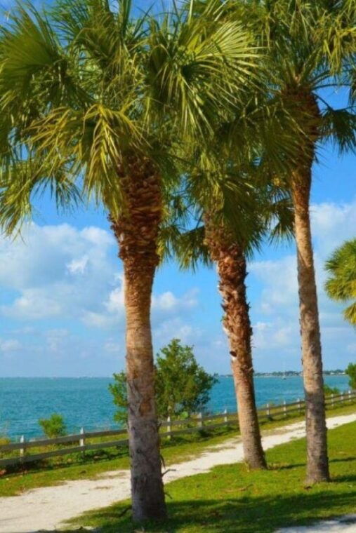 miami-visit-to-the-lighthouse-key-biscayne-brickell