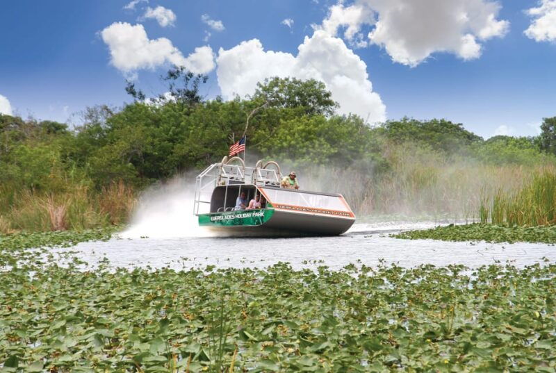 miami-wild-everglades-airboat-ride-and-gator-encounters