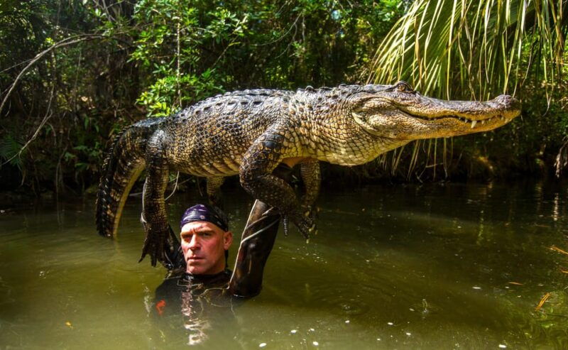 miami-wild-everglades-airboat-ride-and-gator-encounters