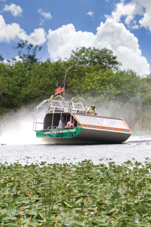 miami-wild-everglades-airboat-ride-and-gator-encounters