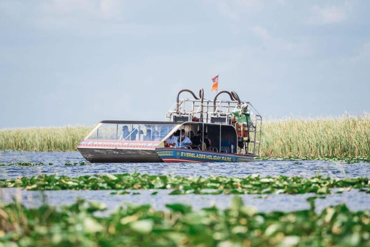 miami-wild-everglades-airboat-ride-and-gator-encounters