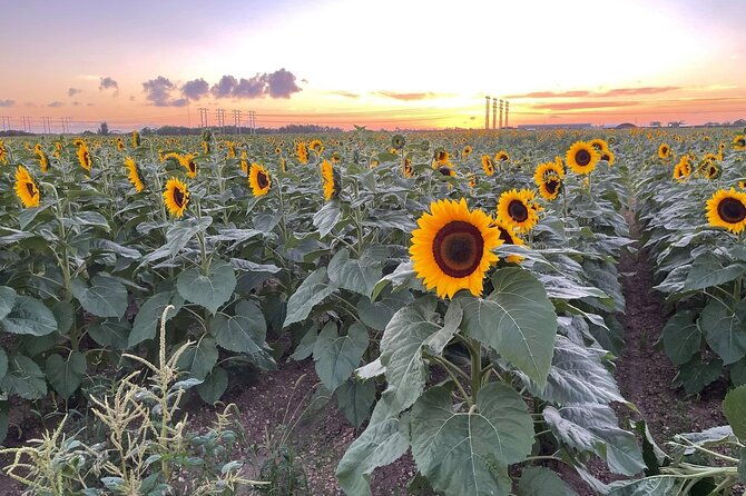 miamis-ultimate-atv-buggy-adventure-5-star-rated-2