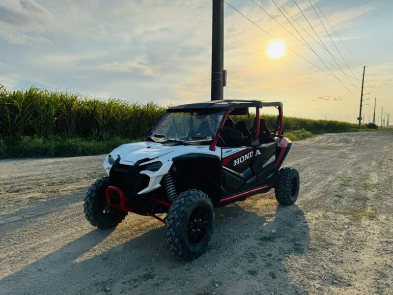 Miami's Ultimate Buggy Adventure on a Honda Talon UTV - A Detailed Look at Miami’s UTV Adventure