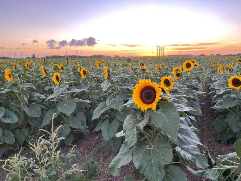 miamis-ultimate-buggy-adventure-on-a-polaris-rzr-utv