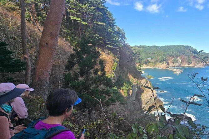 Michinoku Coastal Trail & Sea Kayak in Jodogahama - Who Is This Tour Best Suited For?